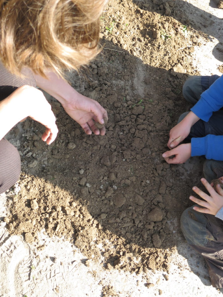 Weingut Schuette Boden