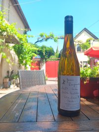 schuette grauburgunder